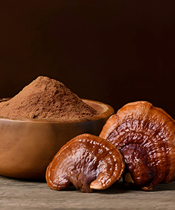 Medicinal Mushrooms