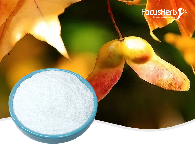 Nervonic Acid Powder 90% - Acer truncatum