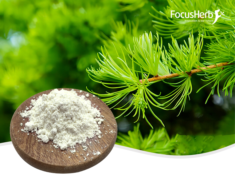 Taxifolin Dihydroquercetin - 80% 90% 95% HPLC