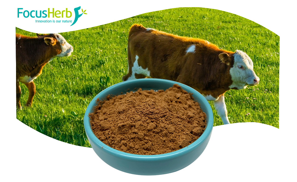 Bovine Heart Extract Powder