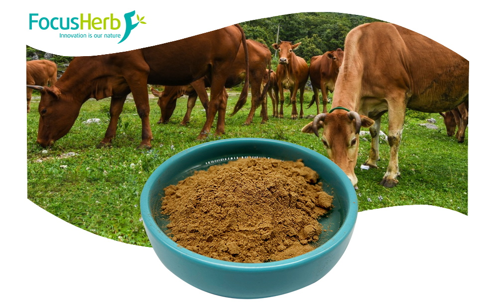 Beef Liver Powder - Bovine Liver Substance Extract